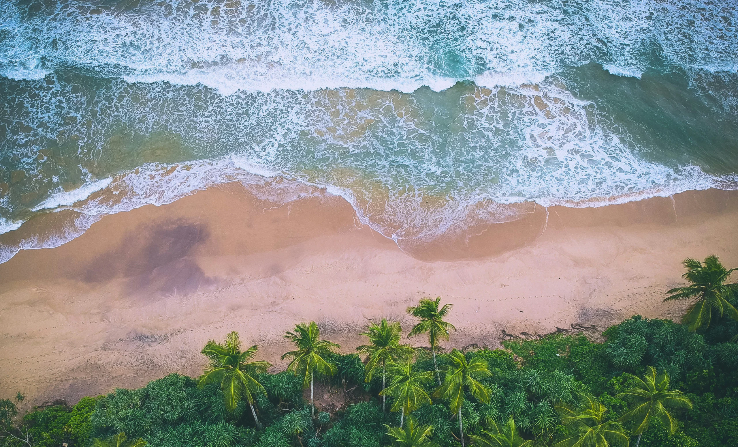 Four-D Holidays – Bespoke Inbound and Outbound Travel and Tours in Sri ...